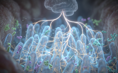 Gut-Brain Axis and Mental Health: Functional Medicine Protocols